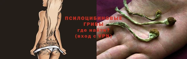 шишки Волосово